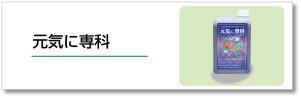�t�̔엿