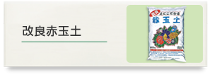���ǐԋʓy