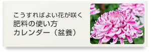 ��������΂悢�Ԃ��炭�엿�̎g�����J�����_�[