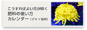 ��������΂悢�Ԃ��炭�엿�̎g�����J�����_�[