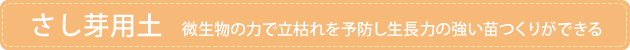 ������p�y