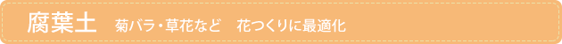 ���t�y