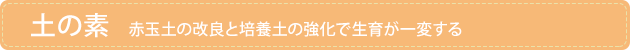 �y�̑f
