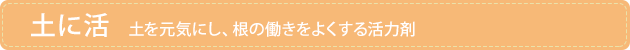 �y�Ɋ�