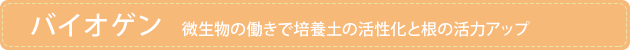 �o�C�I�Q��