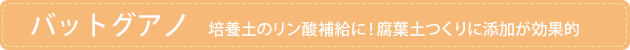�o�b�g�O�A�m