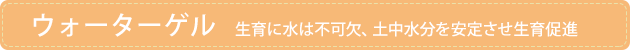 �E�H�[�^�[�Q��