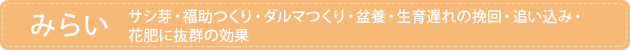 みらい