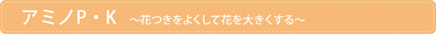 �A�~�mP�EK�@�@�Ԃ����悭���Ԃ�傫������