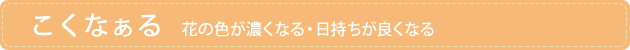 こくなぁる 花の色が濃くなる・日持ちが良くなる