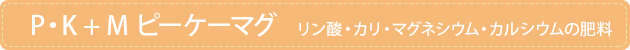P�EK + M�@�s�[�P�[�}�O