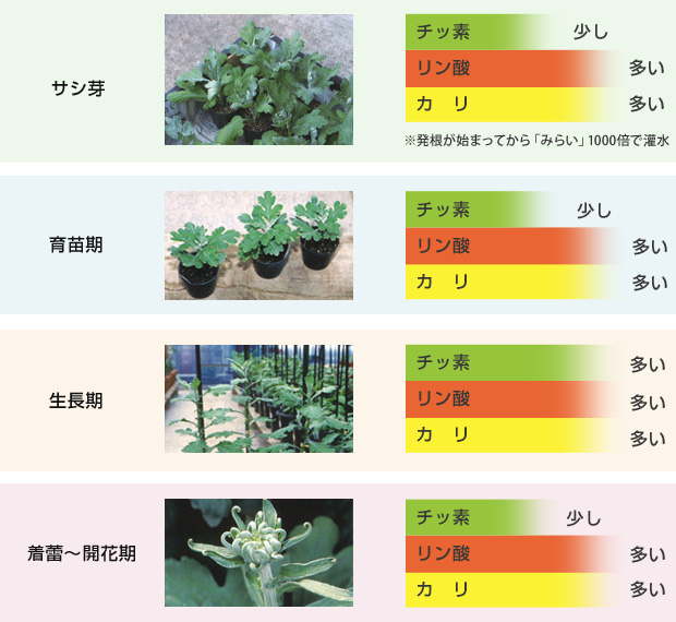 生育ステージに合わせた肥料の与え方