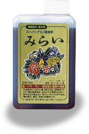みらい