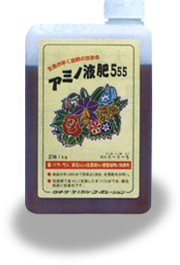 �A�~�m�t��555