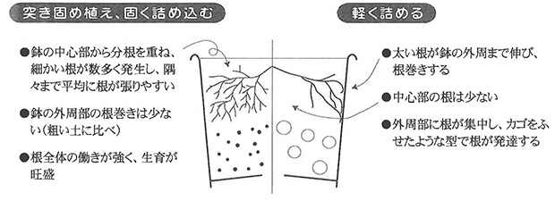 水掛け直後