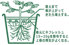 �g�p�@
