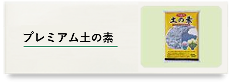 �y�̑f